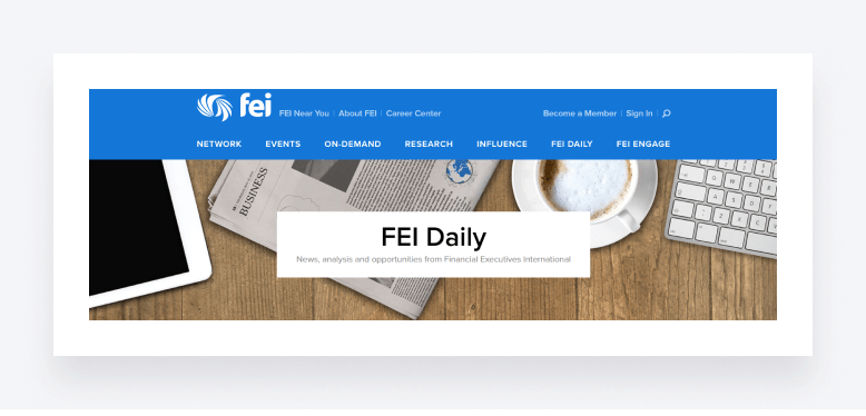 Screenshot of FEI Daily, providing accounting and financial insights.
