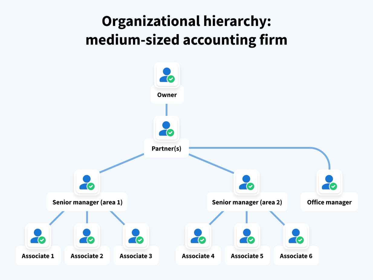 Chart illustrating the organizational hierarchy and roles in a medium-sized firm.