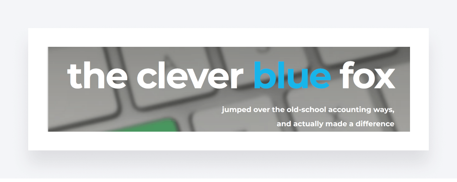 A snippet from accounting firm Blue Fox's website homepage.